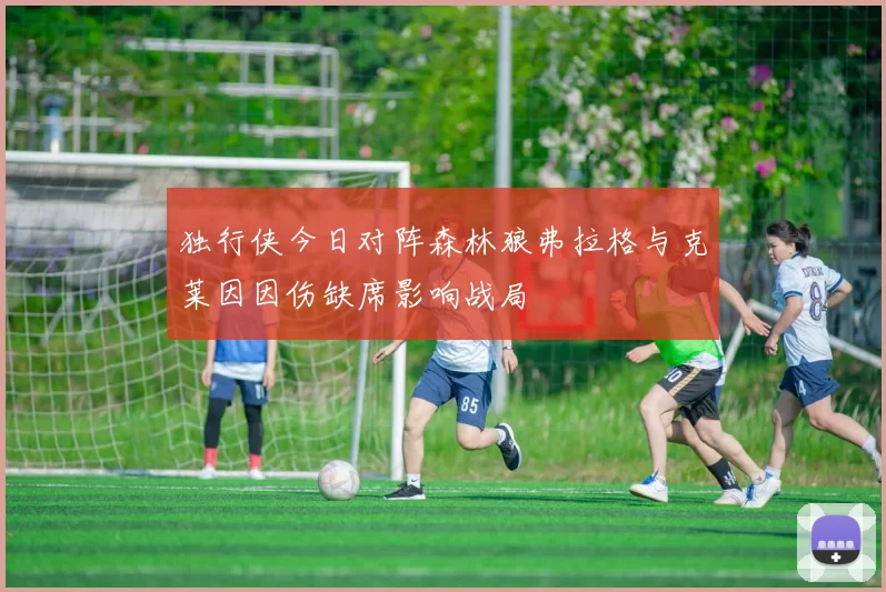 独行侠今日对阵森林狼弗拉格与克莱因因伤缺席影响战局